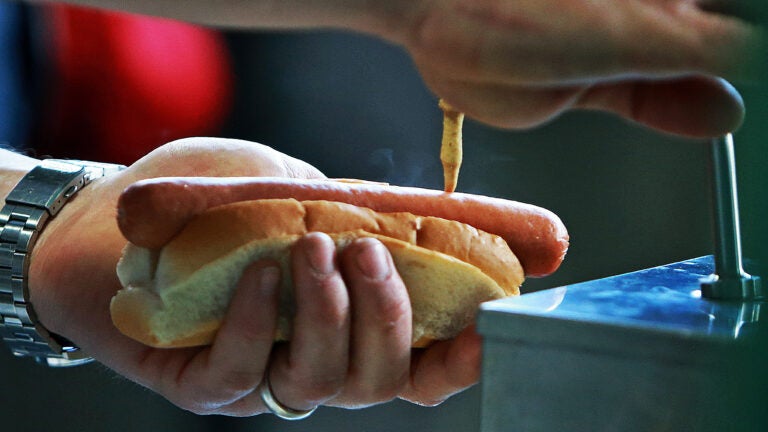 Hot dog at Fenway Park