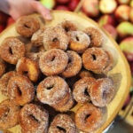 apple cider doughnuts